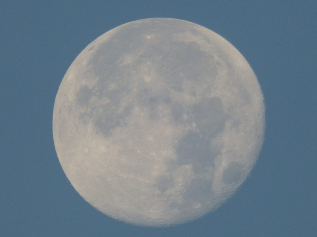 Moon showing craters